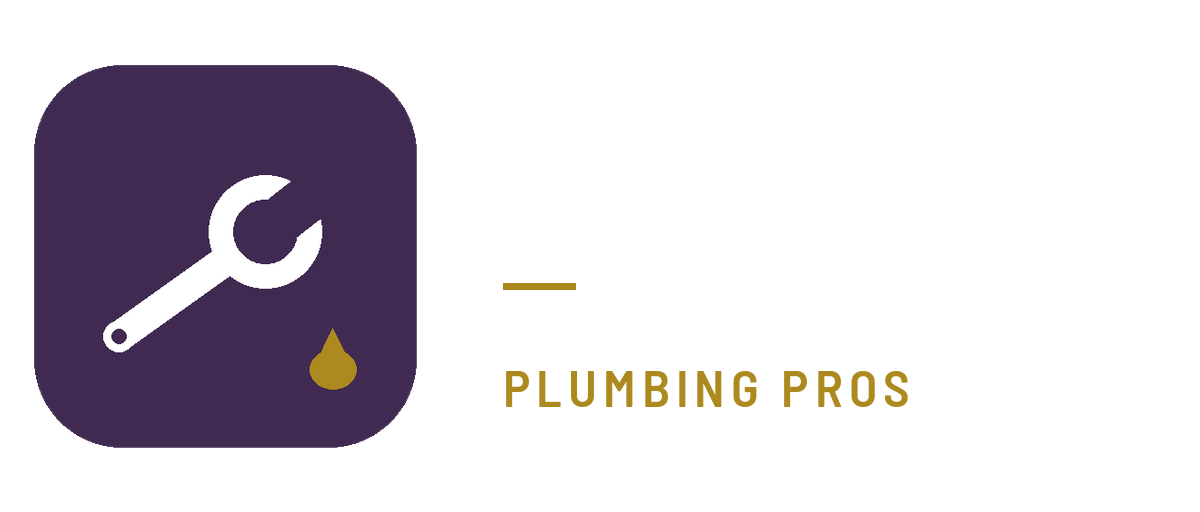 Appleton Plumbing Pros logo